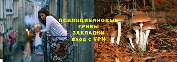 spice Алексеевка